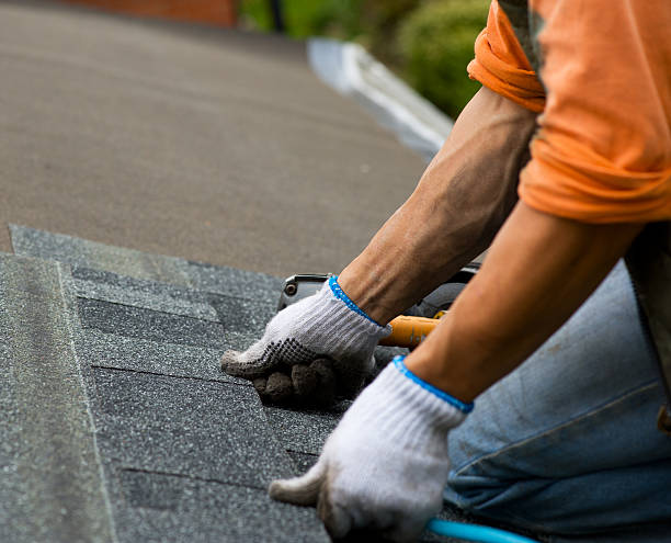 Best Roof Gutter Cleaning  in Gibson, AR