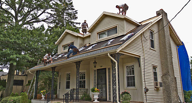 Best Commercial Roof Installation  in Gibson, AR