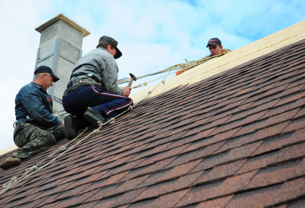 Best Storm Damage Roof Repair  in Gibson, AR